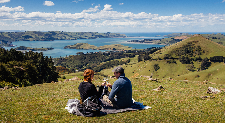 Picnic on the Otago Peninsula